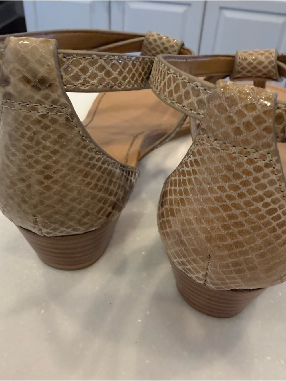 Coach Women’s Turnlock Leather Sandals Ingrid Snakeskin Snake Print Sz 8 NIB - Picture 7 of 12